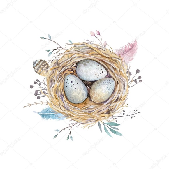Welcome to littlebirdsnest! - Picture 1 of 1
